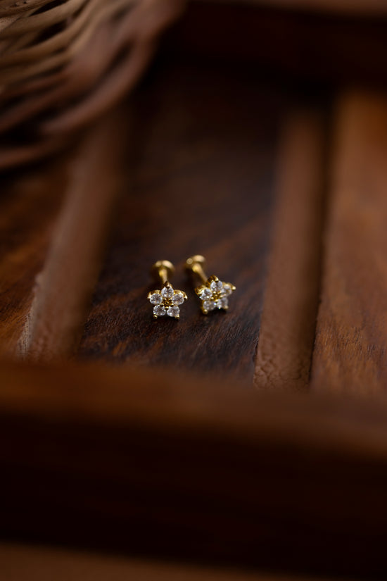Small Nakshathra Earring