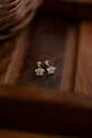 Small Nakshathra Earring