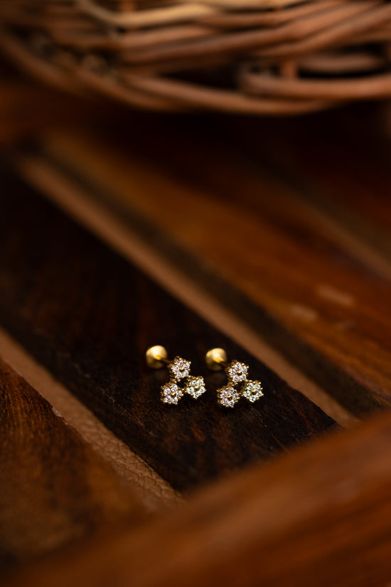 Cluster Nakshatra Earring