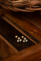 Cluster Nakshatra Earring