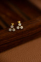 Cluster Nakshatra Earring