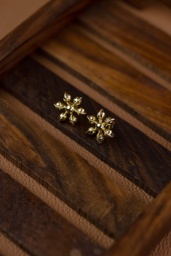 Nakshathra Earring Gold