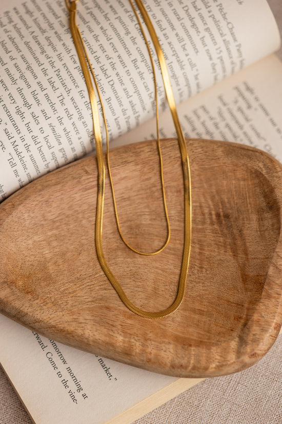 Slim and Flat Snake Double Layer Necklace