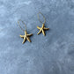 Star Fish Hanging Earrings